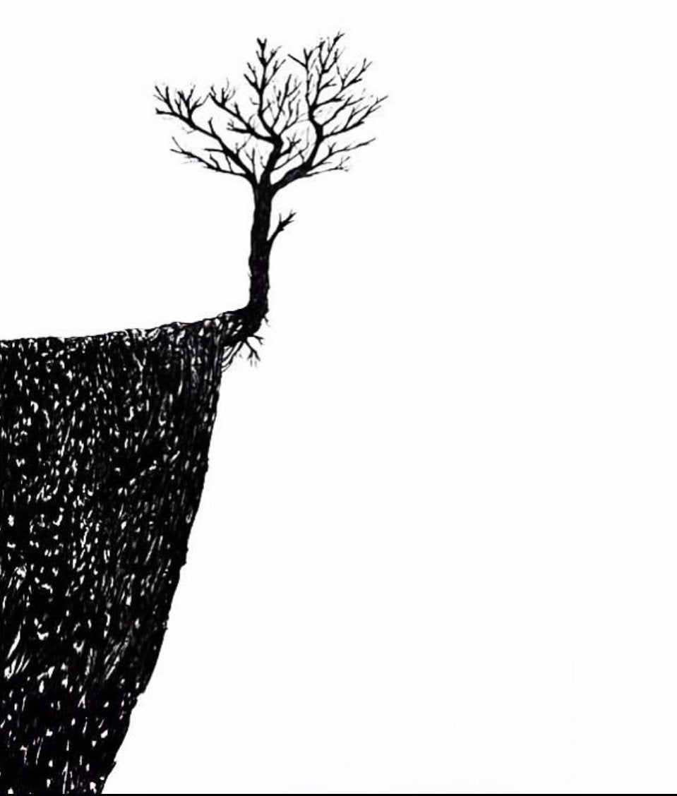 Extremetree - Beirut Re–Store