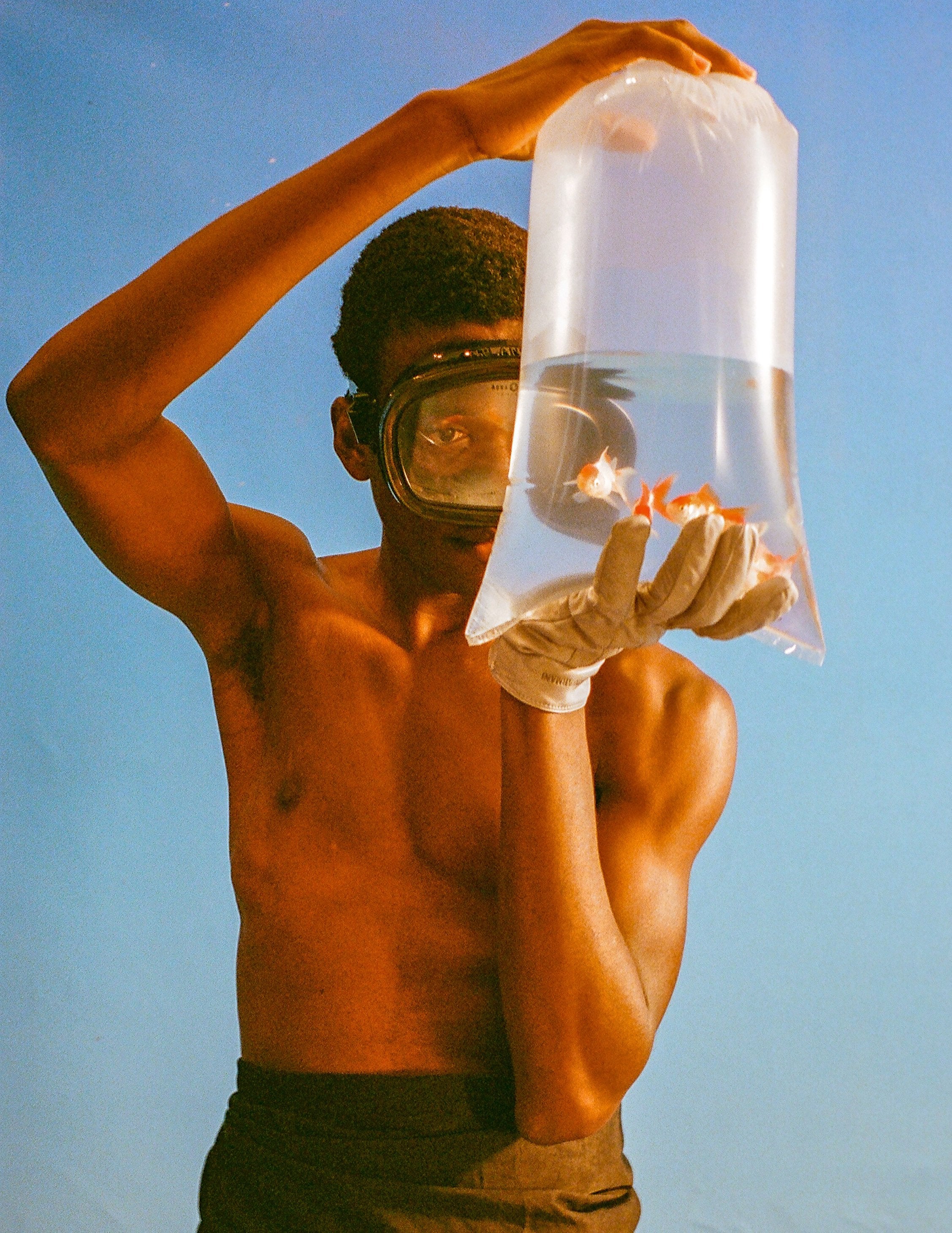 Fishbowl - Beirut Re–Store