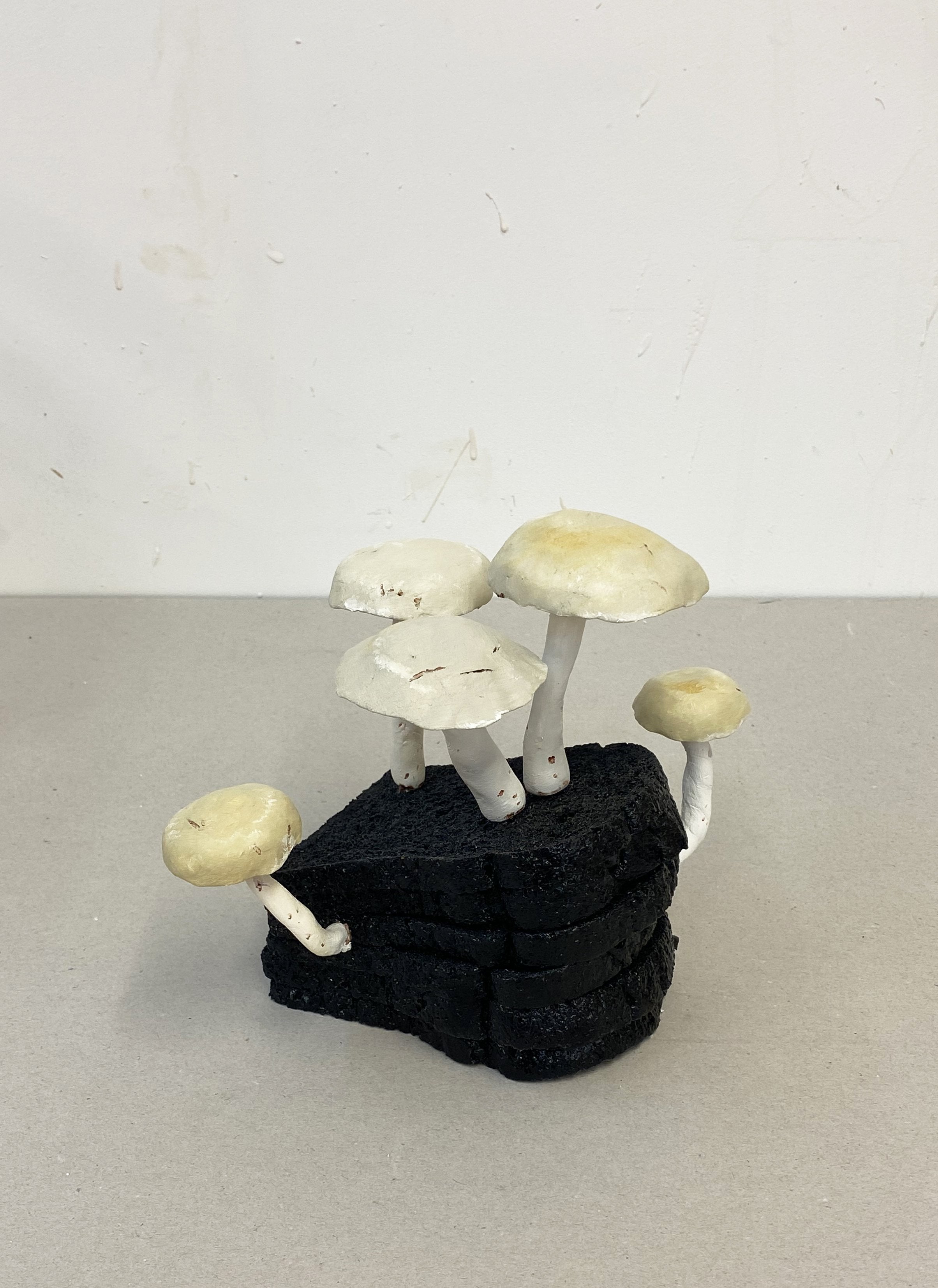 Burnt Toast Shield Pinkgill - Beirut Re–Store