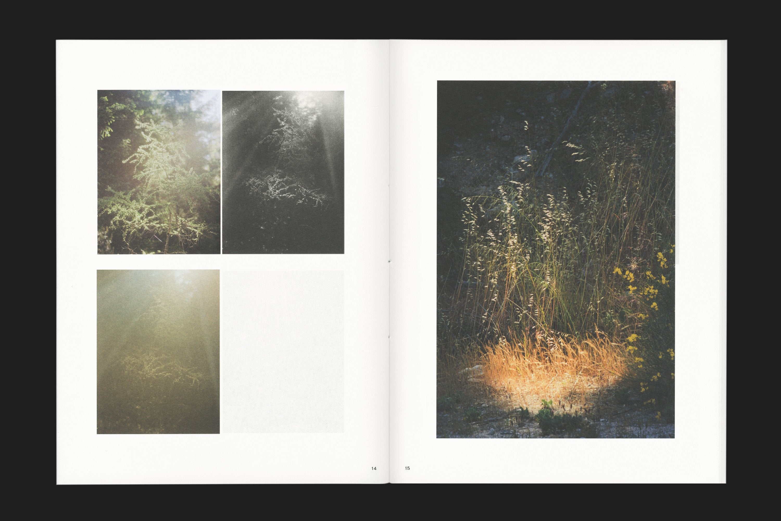 Ex Nihilo (special edition) - Beirut Re–Store