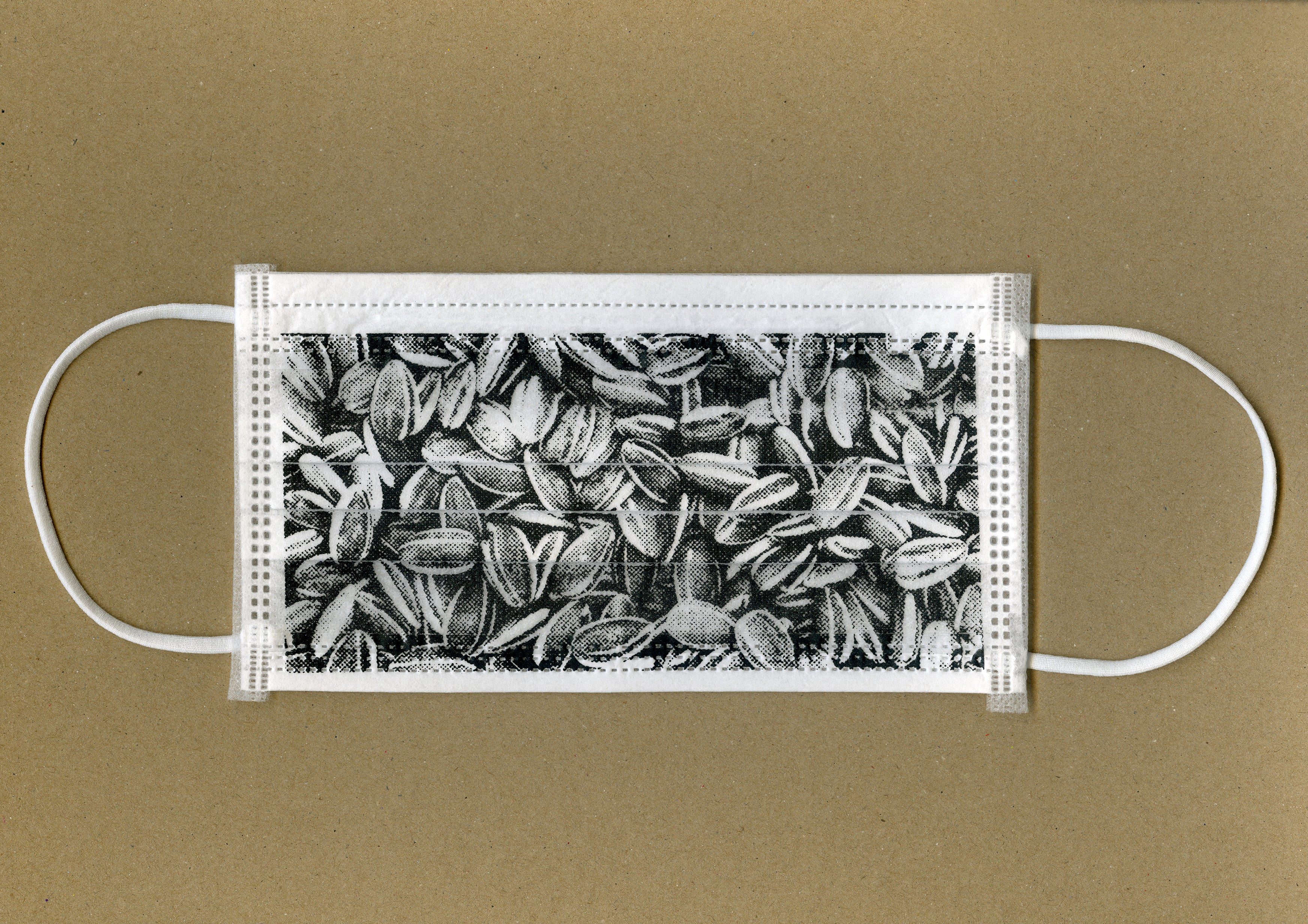 Sunflower Seeds Mask